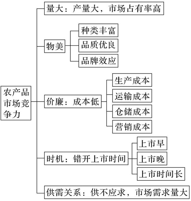 二轮微专题22 市场竞争力不朽情缘网站2025高考地理(图10)